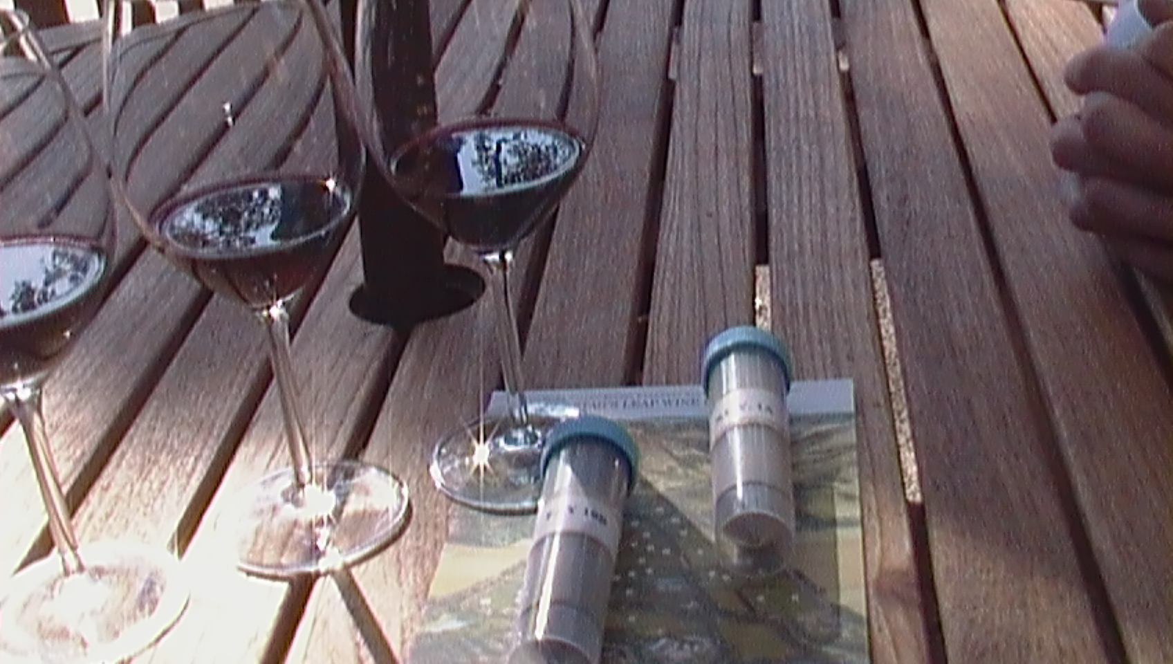 wines and soil