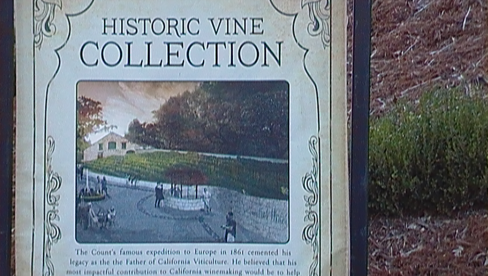 buena vista entrance buena vista entrance