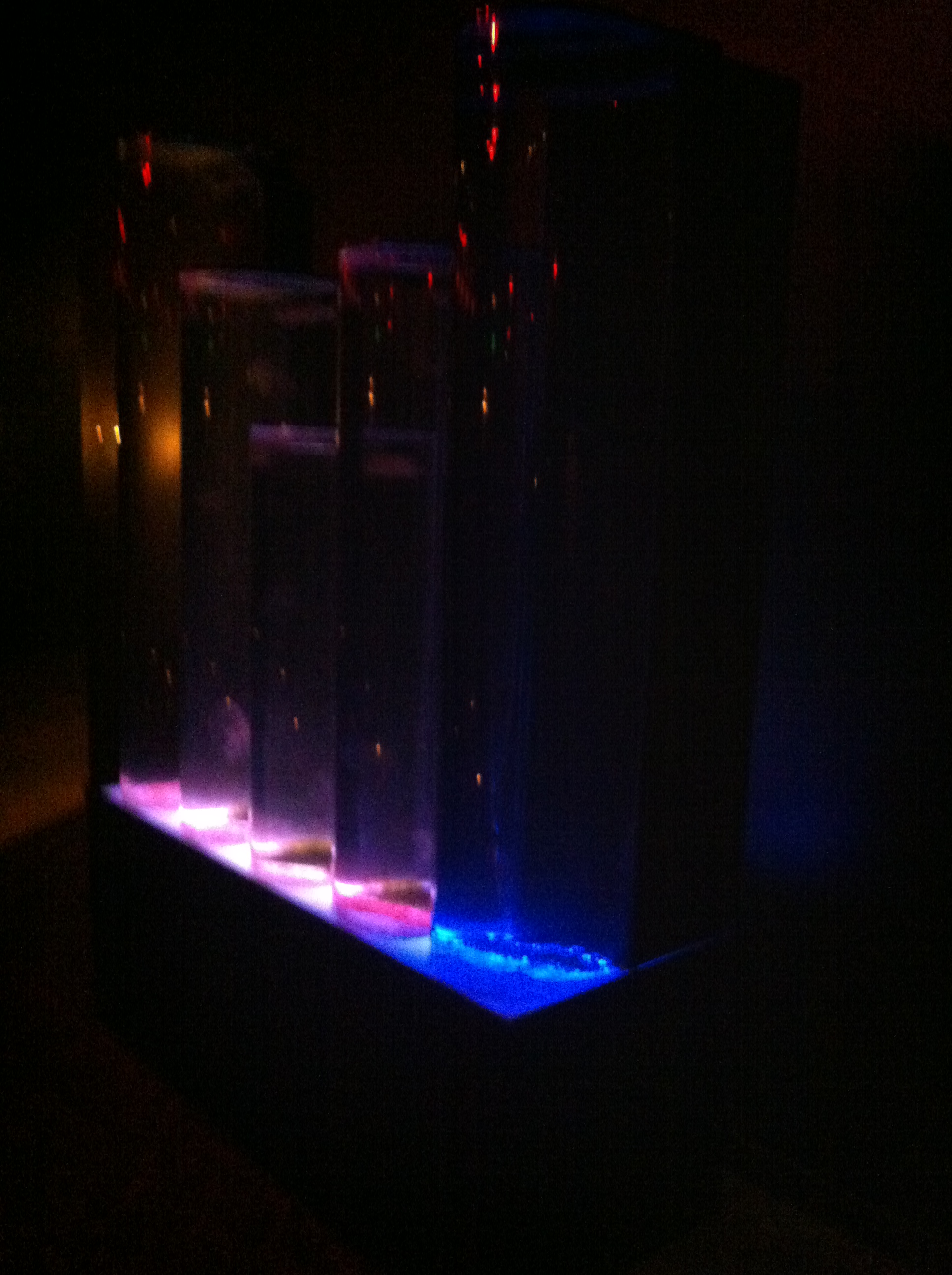 jellyfish at empire (napa)
