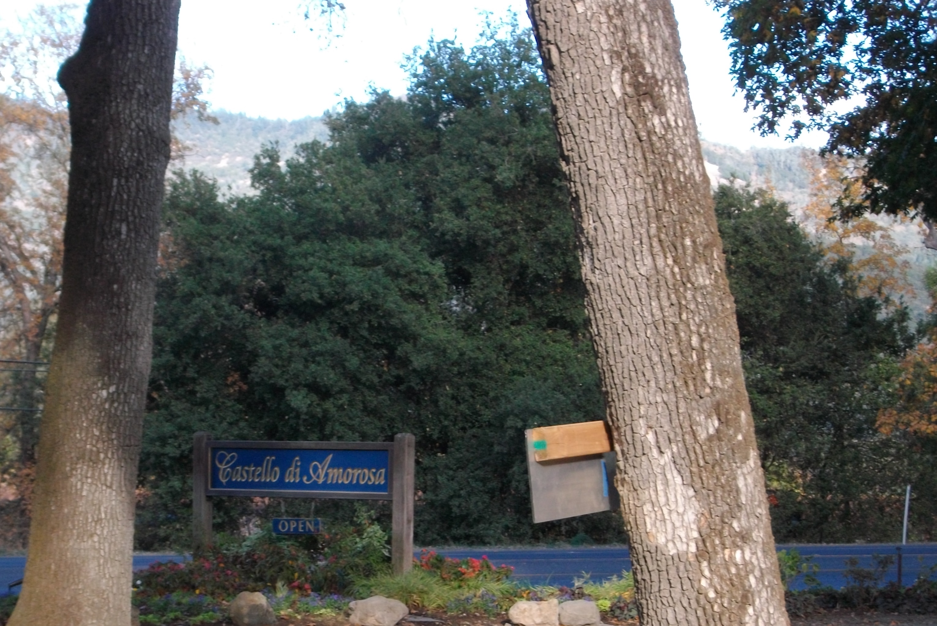 castello di amorosa winery