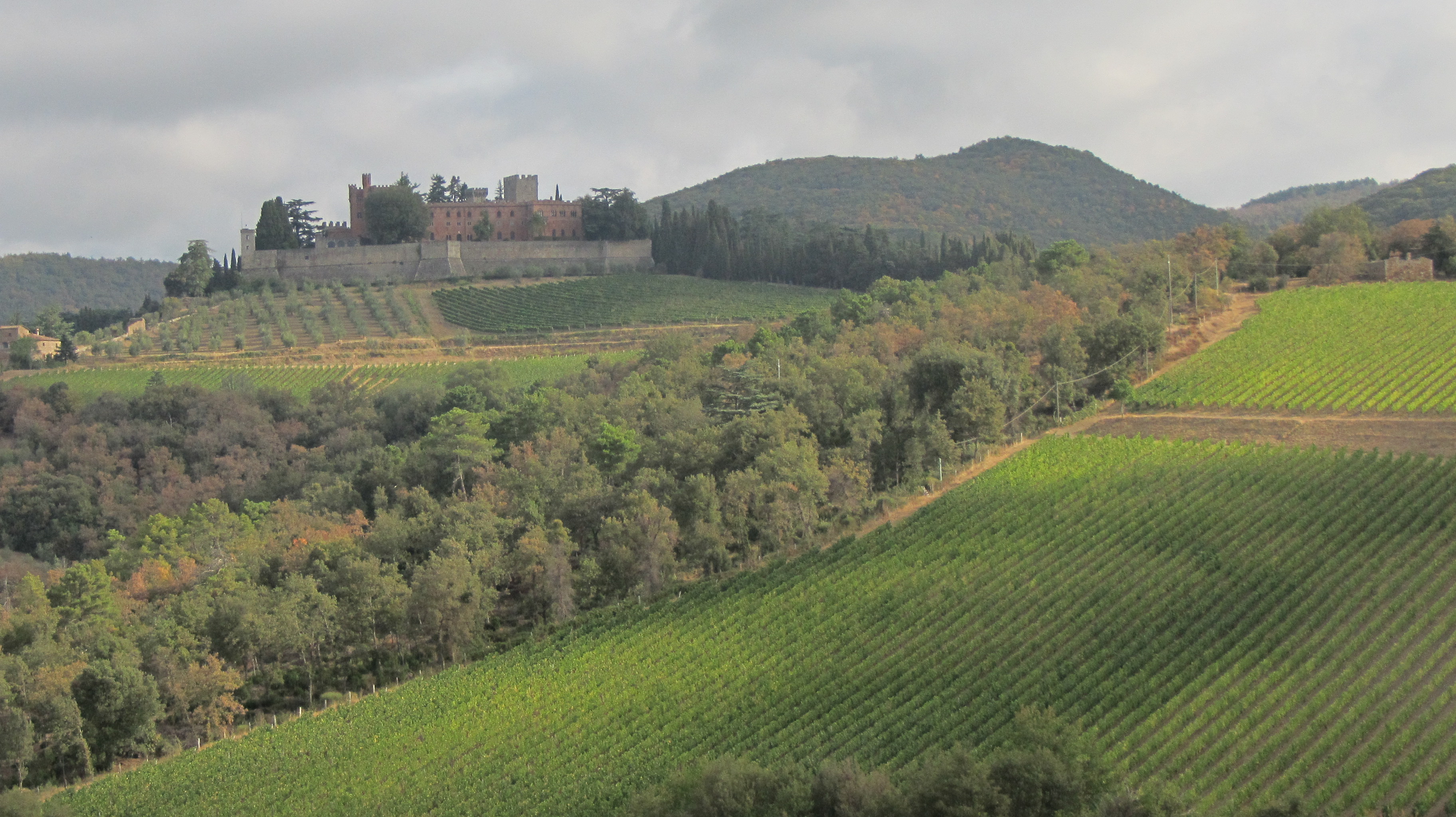 Castello di Brolio estate 2005