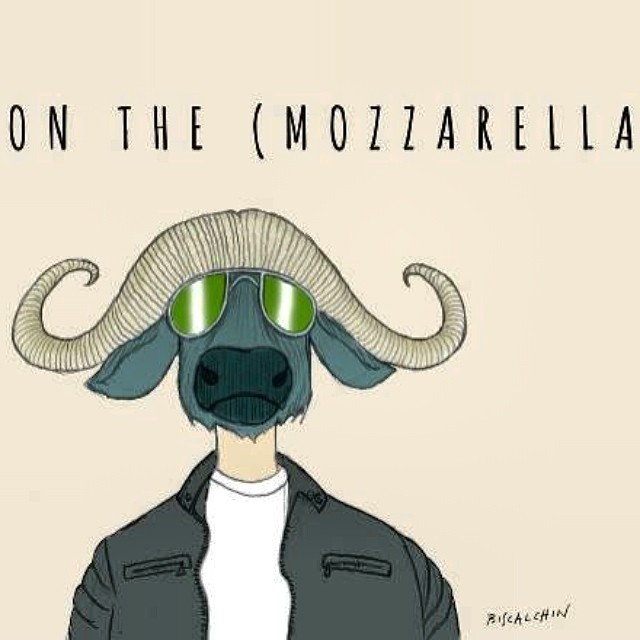 the event: mozzarella routes