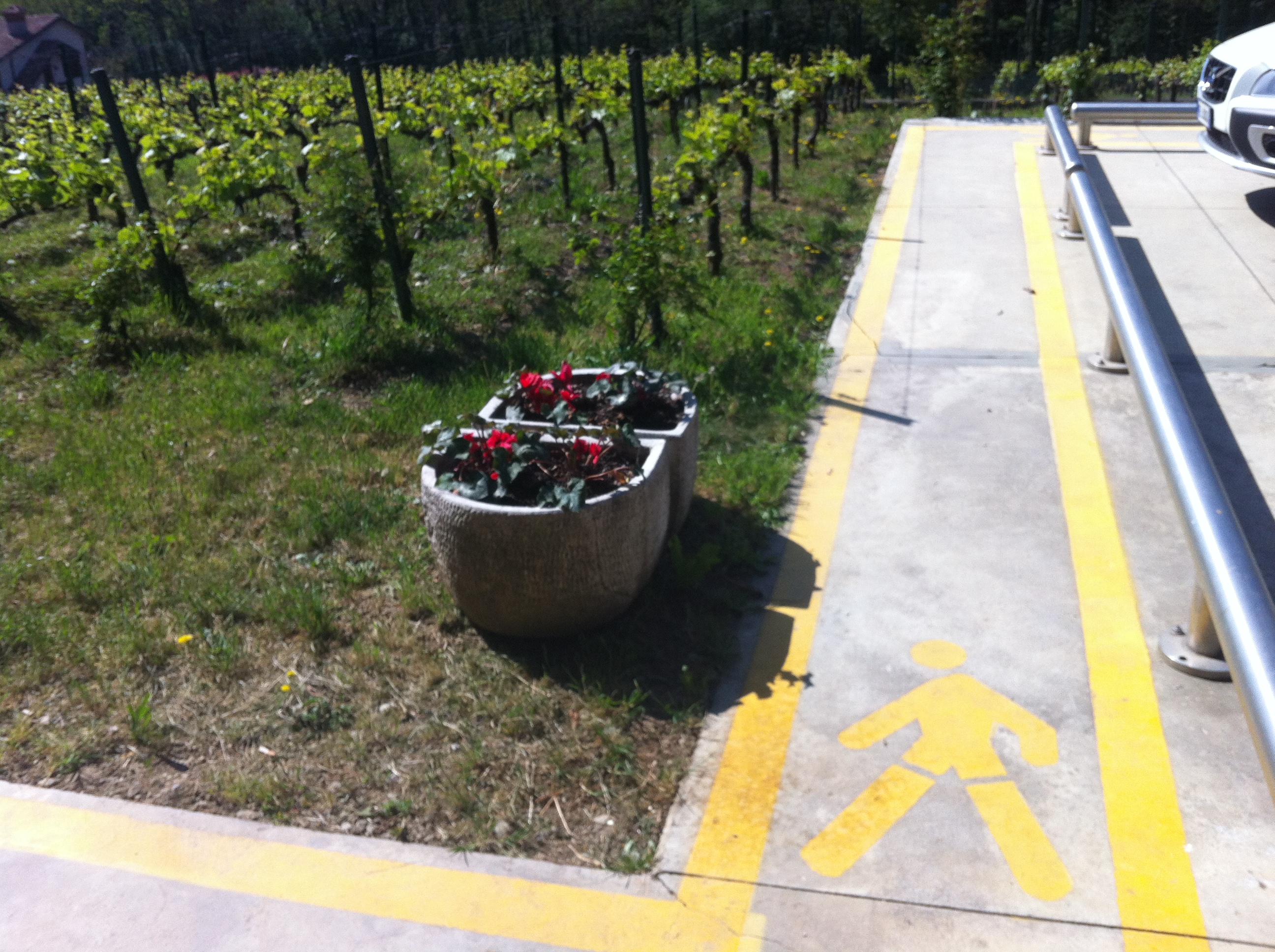 the path, il percorso in azienda