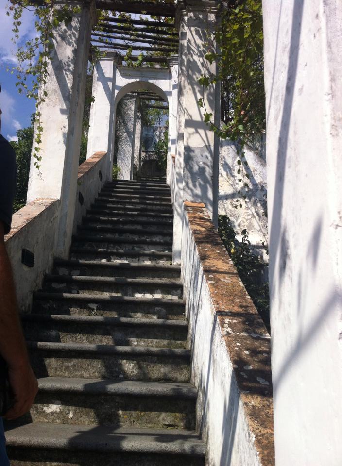 the garden's levels