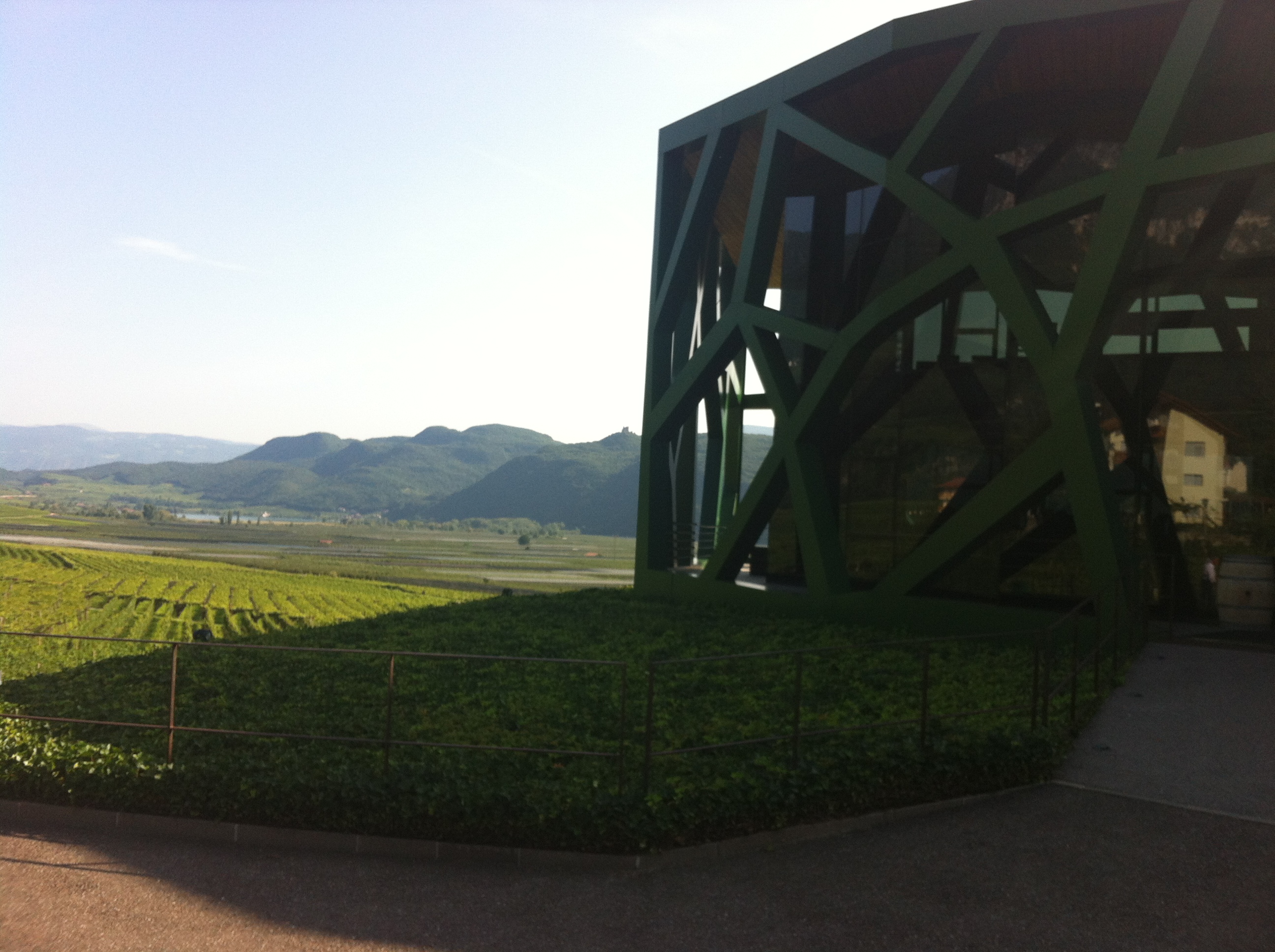 tramin