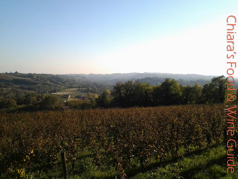 paesaggio prosecco docg