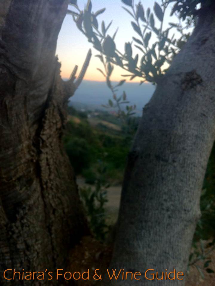 scorcio