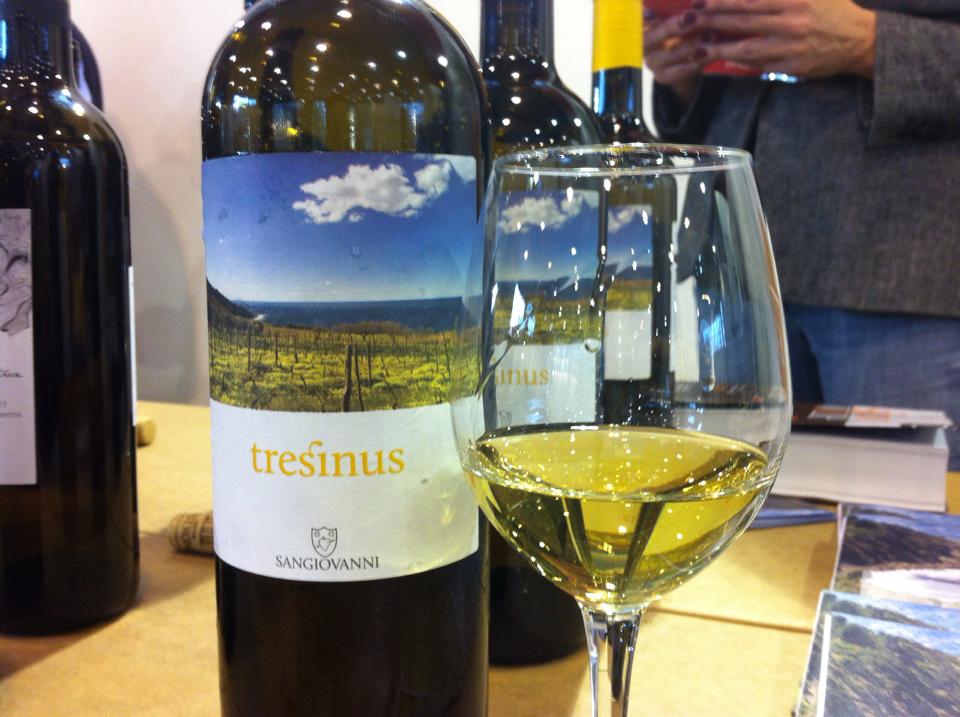 one of the campanian wines of the guide