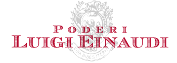 logo einaudi