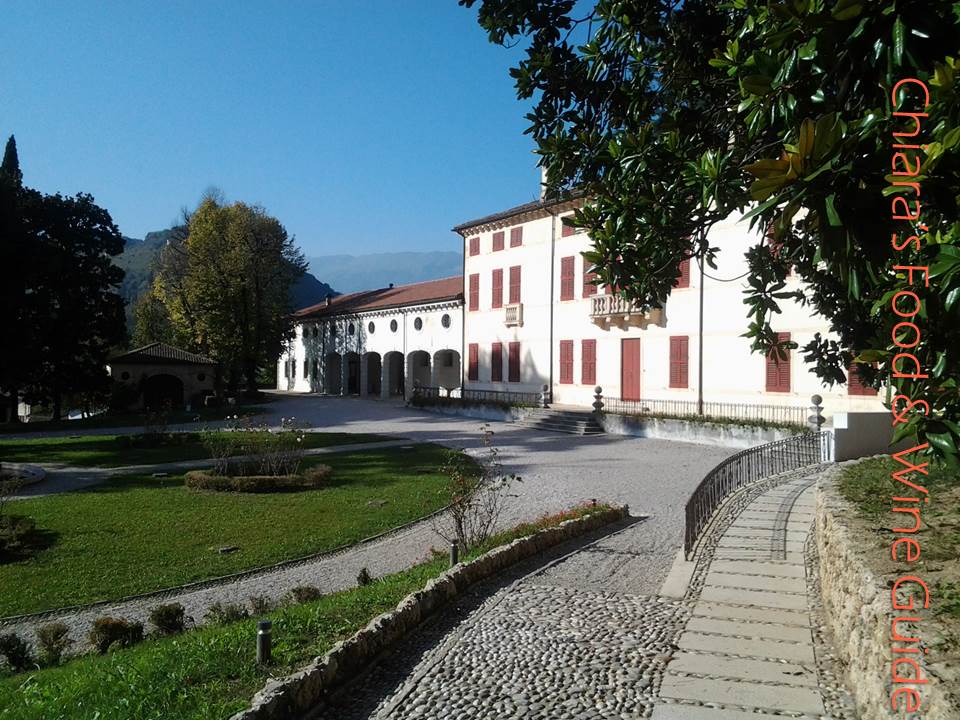 consorzio