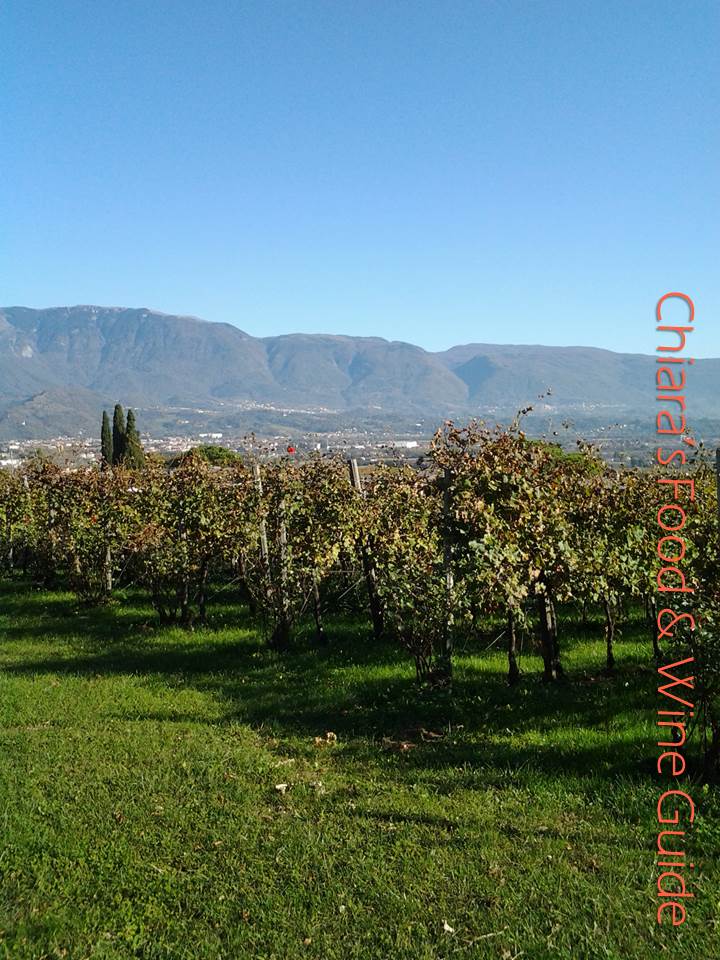 territorio