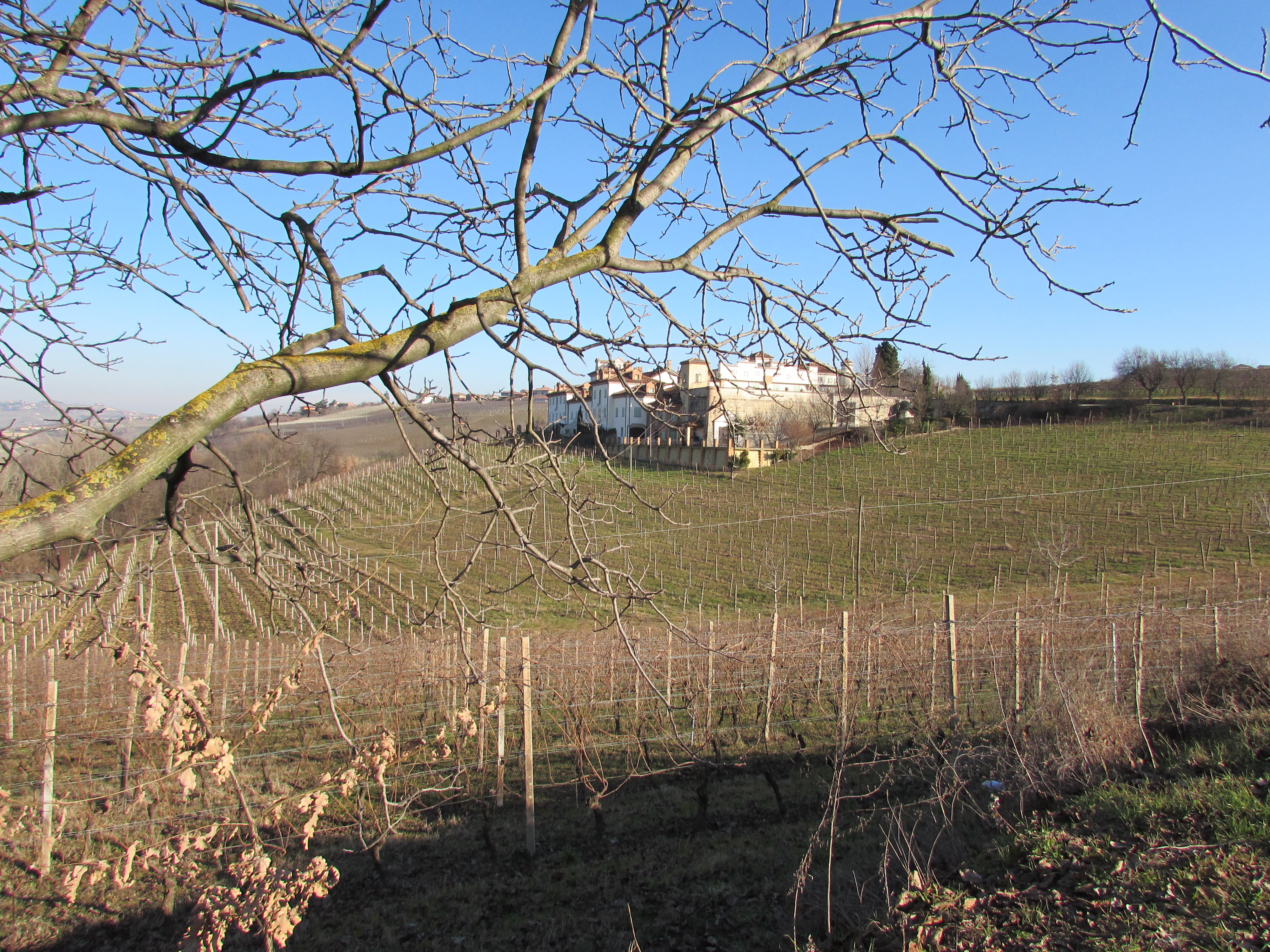 poderi aldo cont