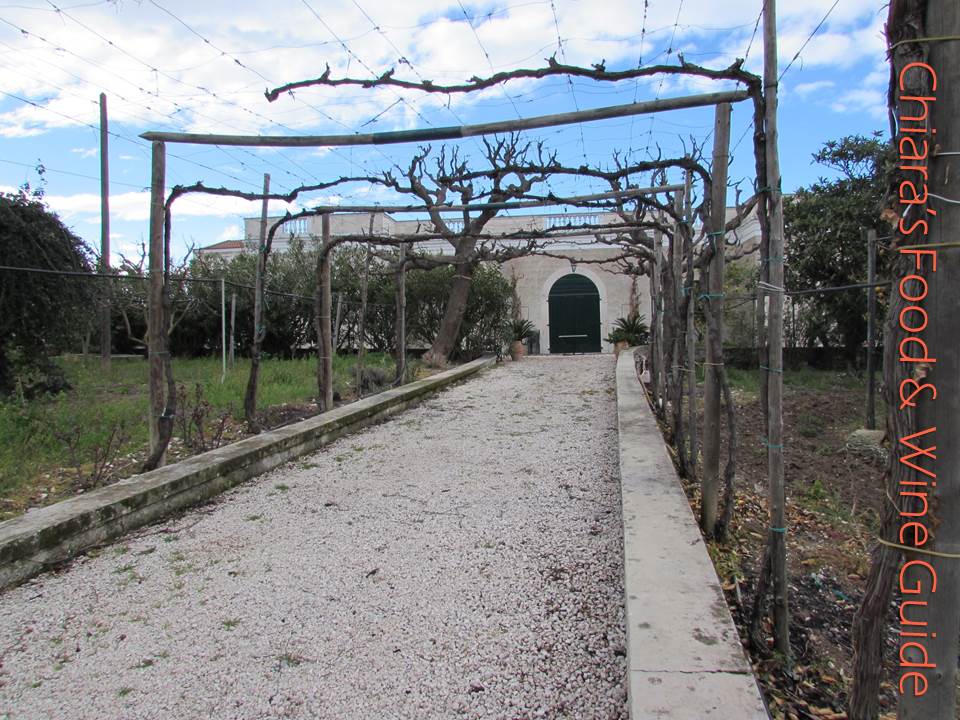 SANTA LUCIA