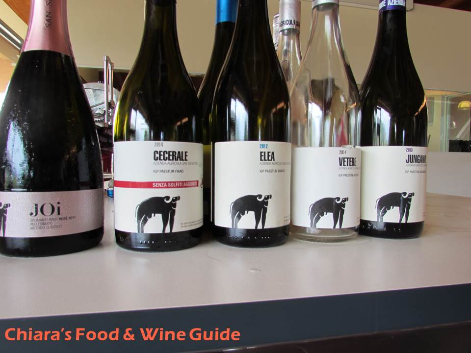 wine tasting