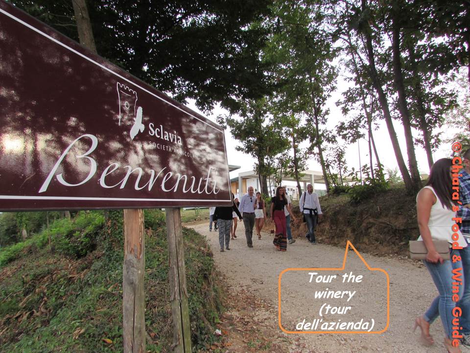 wine tour in caserta area