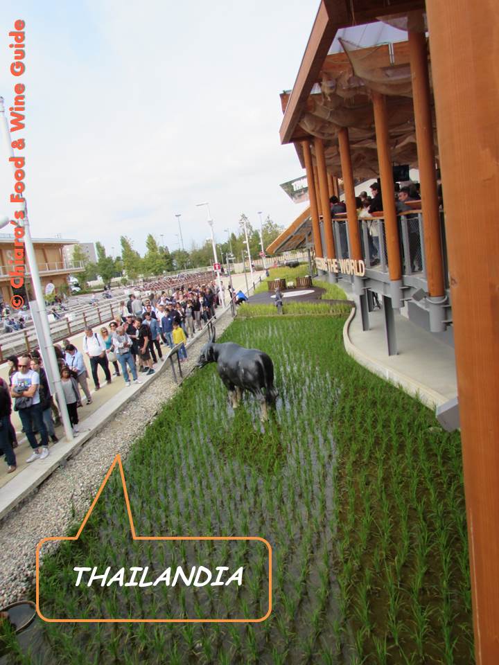 thailandia at expo 2015