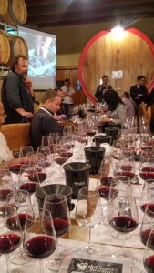 degustazione in cantina