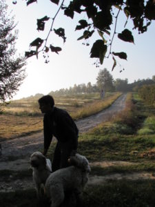 truffle search (alla ricerca del tartufo)