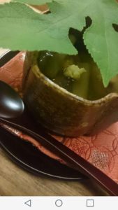 turtle-soup (zuppa-di-tartaruga)