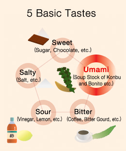 Umami the Fifth Taste, What is Umami? How do you use Umami?